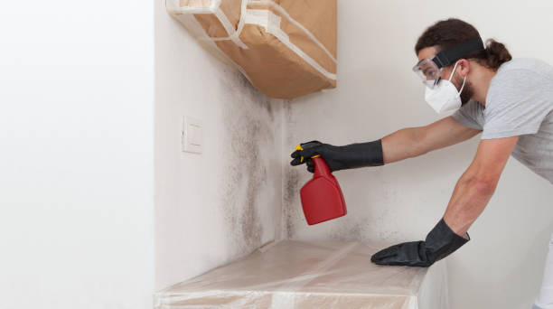 Professional Crawl Space Mold Remediation technician working in Snow Camp, NC