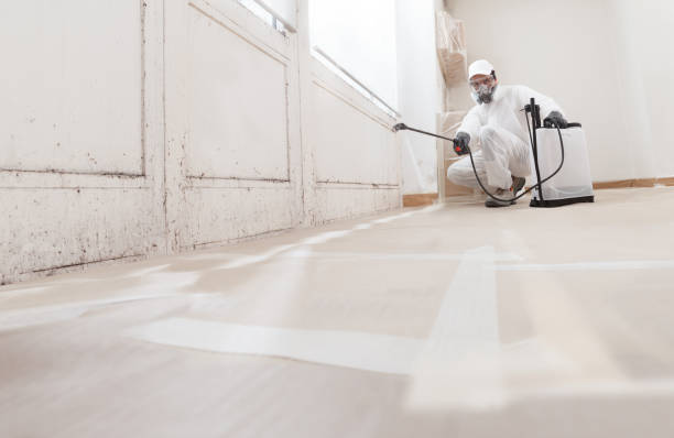 24/7 Emergency Crawl Space Mold Remediation experts in Snow Camp, NC